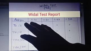 Widal Test  How To Read Widal Test Report Enteric Fever Report  Be Your Best Doctor [upl. by Tnomel]