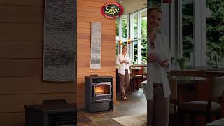 The Free Standing AGP Pellet Stove home fire [upl. by Aronoff]