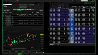 Jak mám nastavenou obchodní platformu Interactive Brokers  Dominik Kovařík [upl. by Aihtenak883]