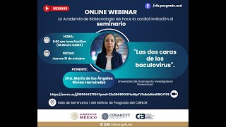 Seminario Las dos caras de los baculovirus [upl. by Gladdie]