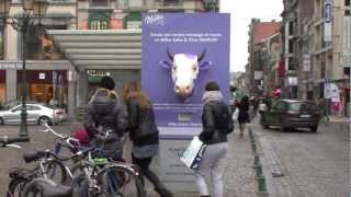 JCDecaux Belgium Milka [upl. by Creath]