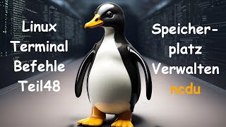 Linux Terminal Kurs Teil 48  ncdu  Speicherplatz Verwaltung [upl. by Sille]