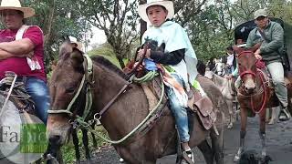 Cabalgata Mochilera Vereda Veraguas Pacho Cundinamarca [upl. by Arahd]