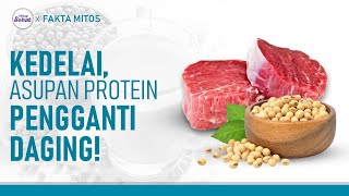 Tinggi Protein Ini Sejumlah Manfaat Kedelai  Hidup Sehat tvOne [upl. by Redna]