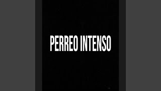 Perreo intenso [upl. by Cohbert]