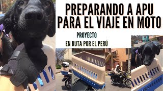 ¿Cómo viajar con perritos en la moto  Haciendo la cajita  PerrodadoresMX [upl. by Dorise]