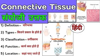 Connective Tissue Explained  Anatomy and Physiology  Connective tissue in Hindi [upl. by Jurgen]