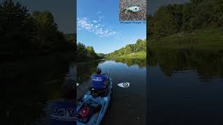 Smallmouth Bass on Crooked Creek  Kayak Fishing  Bonafide RVR 119  Nature [upl. by Stockmon583]