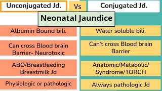 Jaundice in Newborns easy way mbbs newbornneonatology NewbornAssessment neetpg pediatrics [upl. by Handel131]