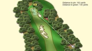 Bubba Watsons Amazing Shot at the 2012 Masters [upl. by Kean867]