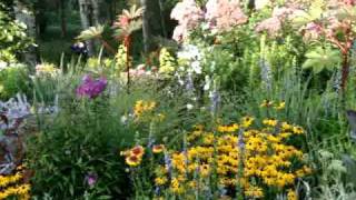 LARKS AUGUST PERENNIAL GARDEN  Hot amp Steamy wwwlarksperennialscom [upl. by Arrej]