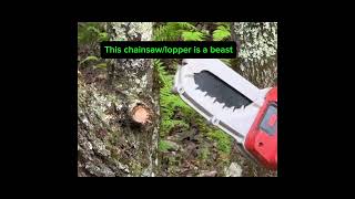 ChainsawLopper Check comments to find chainsaw ad fyp amazon shorts outdoorequipment [upl. by Betthezel]