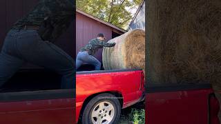 Winter Hay Prep for the Goats 🐐👏🏻🧑🏼‍🌾 homestead farmliving farming farmer livestock [upl. by Ekul713]