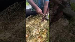 BIGGEST Gold Nuggets Found gold goldpanning satisfying [upl. by Graner]