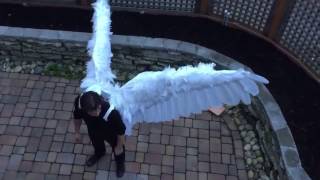 Articulated Pneumatic Wings [upl. by Celeste]