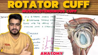 Neuroanatomy S1 E3 Overview of the Brainstem neuroanatomy brainstem medicine [upl. by Nirrej]