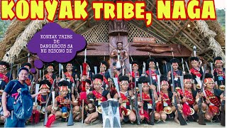 NAGALAND HORNBILL FESTIVAL O SOKBAJOKGarotraveling hornbill2024 [upl. by Acirt]