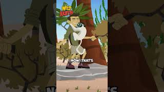 Lemurs have an Amazing Creature Ability  Vertical Clinging and Leaping  Wild Kratts zoboomafoo [upl. by Jaddan]