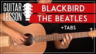 Blackbird Guitar Lesson 🎸 The Beatles Tutorial Fingerpicking  TAB [upl. by Ezar352]