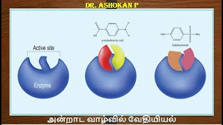 Chemistry in Everyday Life Part 1  Ashokan P nylonpvcterylenepolyamidepolyestertrbtnpscneet [upl. by Otreblasiul]