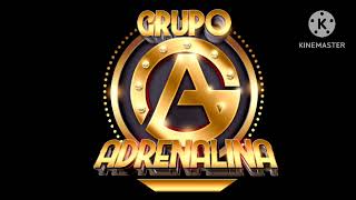 Grupo Adrenalina 2horas de puro Swing [upl. by Emeric617]