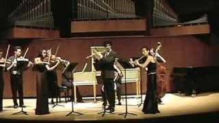 Bach Brandenburg Concerto no 4 1st mvt [upl. by Anikat]