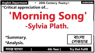 Morning Song Summary in Bangla Morning Song by Sylvia Plath  Try Fulfil [upl. by Naujled]