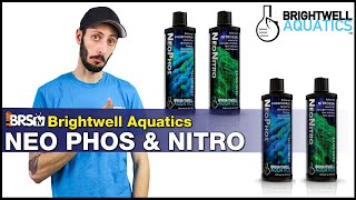 How to Lower Nitrates in a Saltwater Aquarium Proven Techniques For Success [upl. by Einaffets]