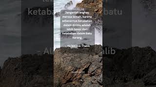 alibinabithalib sahabatnabi shorts quotes motivasi islami katabijakalibinabithalib fyp [upl. by Corsetti96]