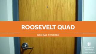 Stony Brook University Eleanor Roosevelt Room Tour [upl. by Enirok]