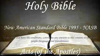 English Audio Bible  Acts of the Apostles COMPLETE  New American Standard Bible 1995 NASB [upl. by Cassidy751]