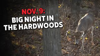 Nov 9 Great Day in the Hardwoods  Big Woods Action  Bowhunting Whitetails w Bill Winke [upl. by Woolson]