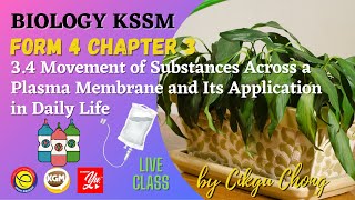 34 Movement of Substances Across a Plasma Membrane and Its Application in Daily Life [upl. by Nevear44]