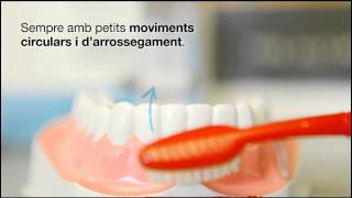 Per prevenir la càries raspalleuvos les dents [upl. by Hirai320]