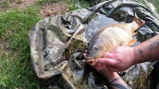 Baden Hall Fishery  Surface Fishing [upl. by Paolo331]