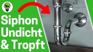 Siphon Undicht Waschbecken ✅ TOP ANLEITUNG Wie Dichtungen richtig Anbringen wenn Abfluss Tropft [upl. by Urd]