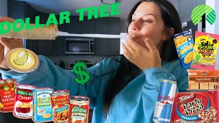 Eating Dollar Store food for 24 HOURS [upl. by Eitsyrhc]