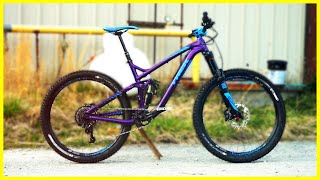 Phil Kmetzs quotWildberryquot Trek Remedy 9 275  Bike Check [upl. by Croix404]