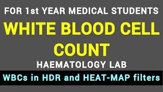 WHITE BLOOD CELL COUNT  HAEMATOLOGY LAB  BLOOD PHYSIOLOGY PRACTICAL [upl. by Ertnod69]