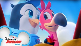 Pip and Freddys Favorite Music Videos 🐧  Compilation  TOTS  Disney Junior [upl. by Drandell]