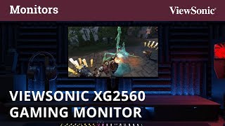 ViewSonic XG2560 Gaming Monitor [upl. by Arrehs827]