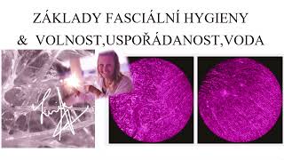 ZÁKLADY FASCIÁLNÍ HYGIENY [upl. by Elum]