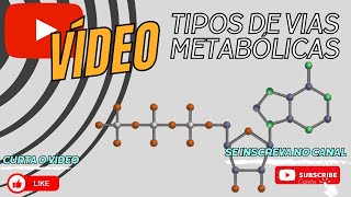 TIPOS DE VIAS METABÓLICAS [upl. by Chrotoem394]