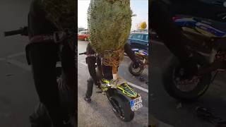 Motorradfahrer transportiert Weihnachtsbaum 🫠￼ [upl. by Lanoil]