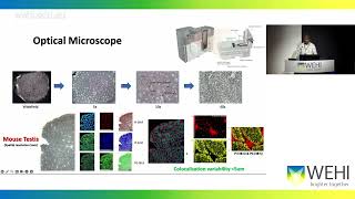 Narayana V 2024 High throughput high spatially resolved APMALDIMSI pipeline [upl. by Ancel632]