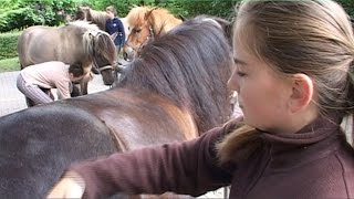 Ferien auf dem Reiterhof Budde in Haltern am See [upl. by Riti]