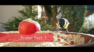 Frohes Fest [upl. by Audri]