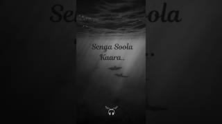 Senga Soola Kaara Song Lyrics  Vaagai Sooda Vaa  Vairamuthu  tamilsong tamilstatus tamillyrics [upl. by Gschu]