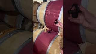 Chateau Rauzan Segla  Accessing the barrel with a Wine Theif  En Primeur 2023 [upl. by Lorien]