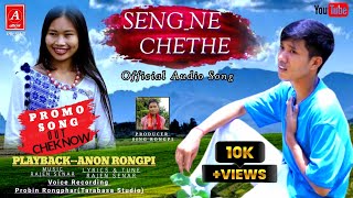 SENGNECHETHE  ANON RONGPI  RAJEN  PROBIN  New Karbi Song Official Audio Released 2024 [upl. by Sabanrab]